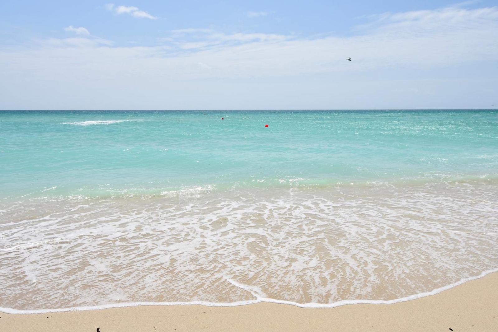 NoBeVIP at the OLSEN on the BEACH!